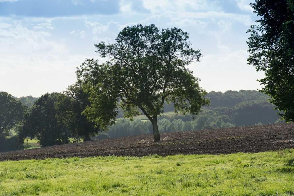 The Stables, Relax In 5 Star Style And Comfort With Lovely Walks All Around Maplestead Eksteriør bilde